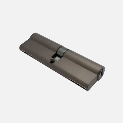 Euro Cylinder Both Side Key 100mm