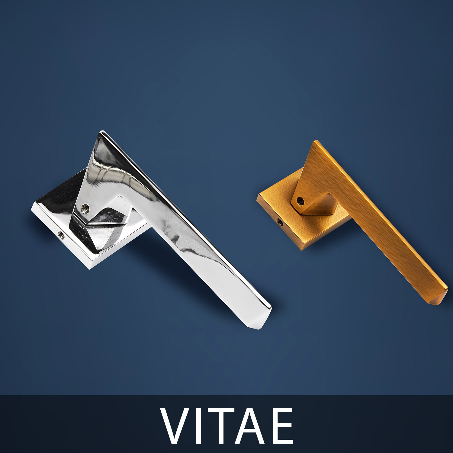 VITAE